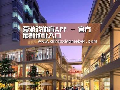展示一(图1)