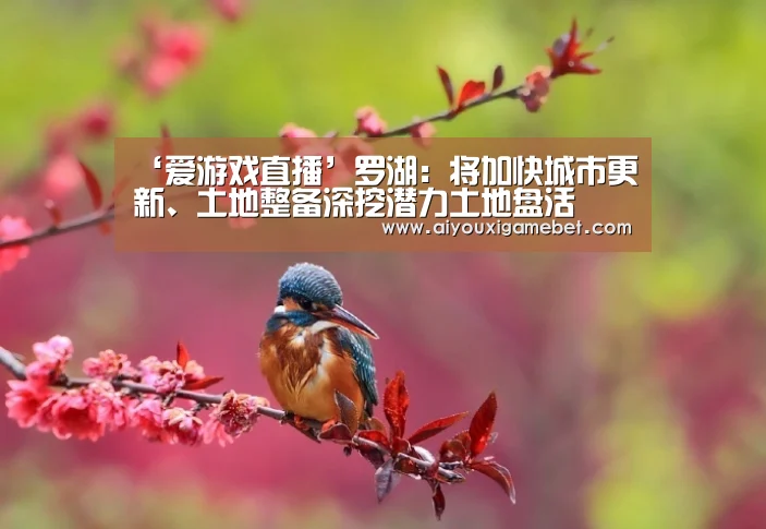 爱游戏视讯